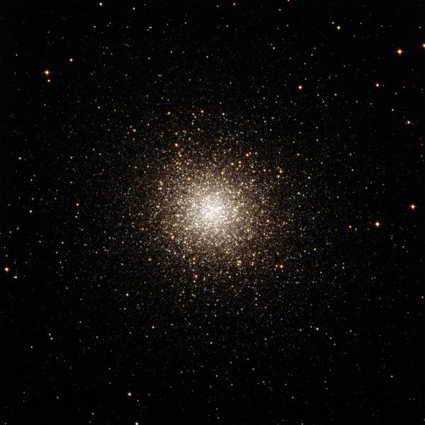 M13